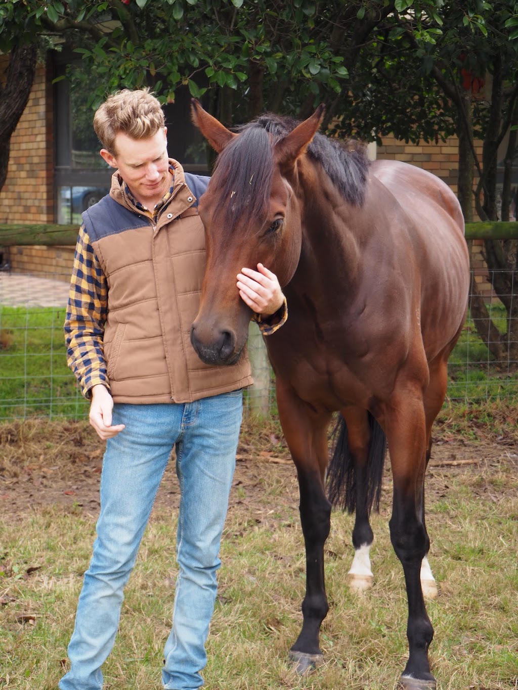 ME Animal Assisted Wellness | 214 Eramosa Rd W, Moorooduc VIC 3933, Australia | Phone: 0416 122 946