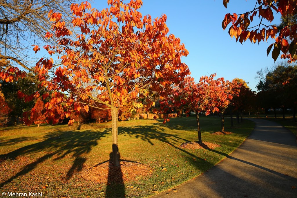 Cherry Tree Walk | park | Unnamed Road, Bowral NSW 2576, Australia