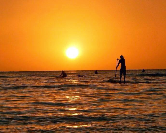 Paddleboarding Cairns | 124/Lot 24 Coral Coast Dr, Palm Cove QLD 4879, Australia | Phone: 0466 914 200