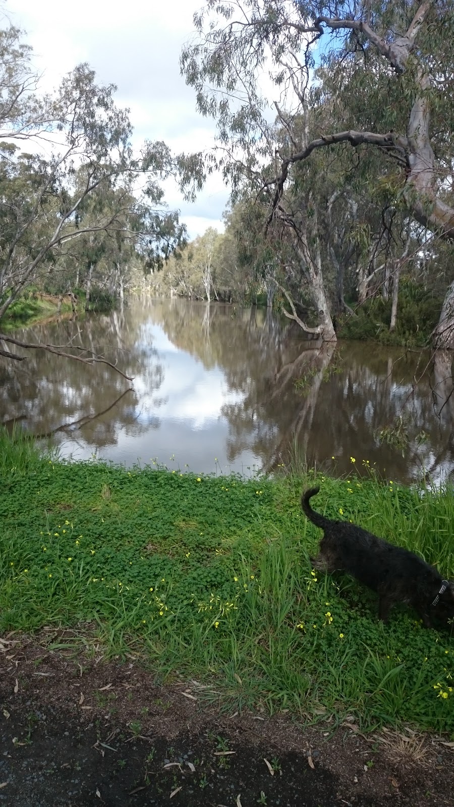 Echuca Back Nine Golf Course | Eyre St & McKenzie Street, Echuca VIC 3564, Australia | Phone: (03) 5482 6110