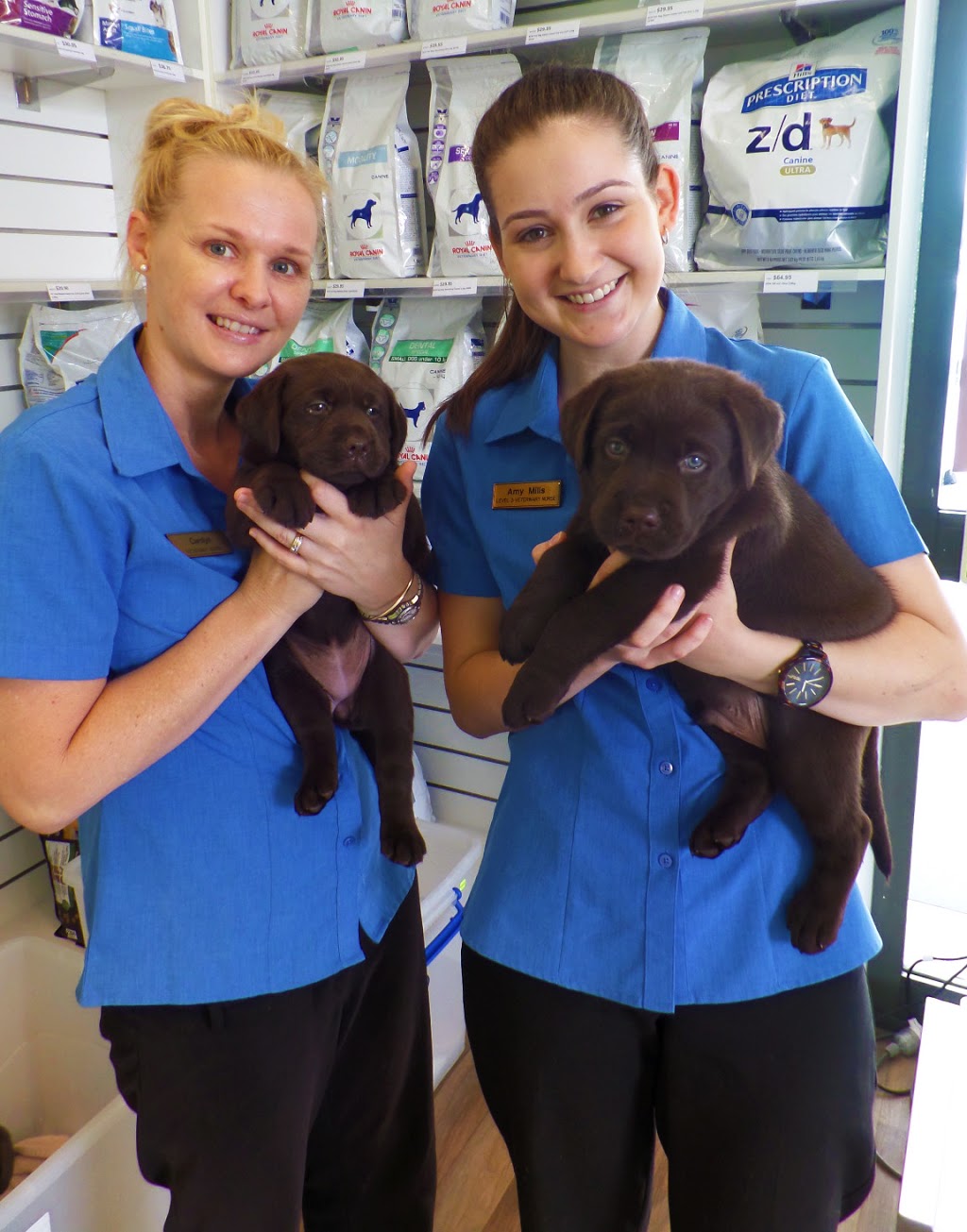 Pet Doctors Palm Beach | veterinary care | Shop 28, Nineteenth Avenue Shopping Centre, Cnr Nineteenth Ave & Angelica St, Palm Beach QLD 4221, Australia | 0755760400 OR +61 7 5576 0400