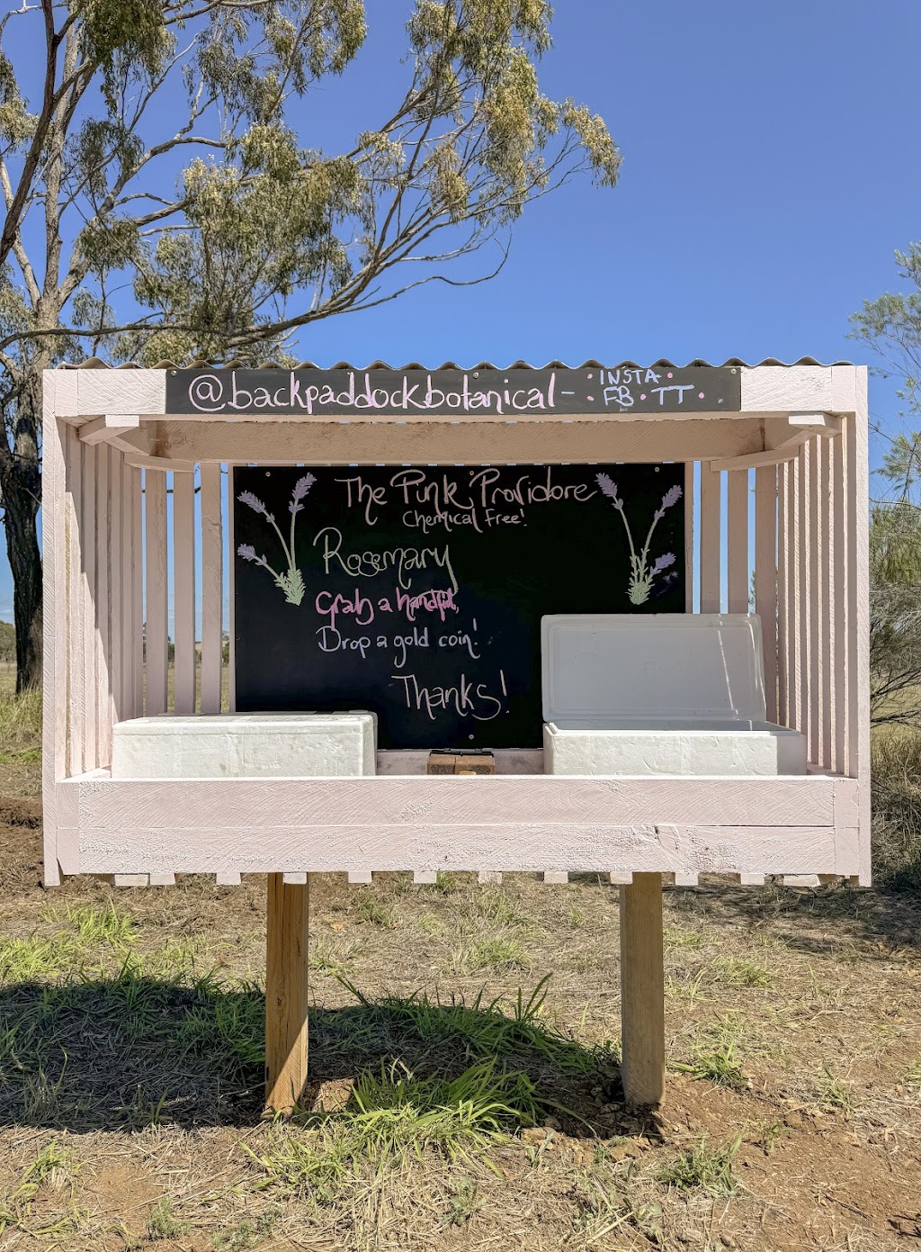 Back Paddock Botanical - Lavender and Herb Farm | 274 Goombungee Meringandan Rd, Goombungee QLD 4354, Australia | Phone: 0400 684 643