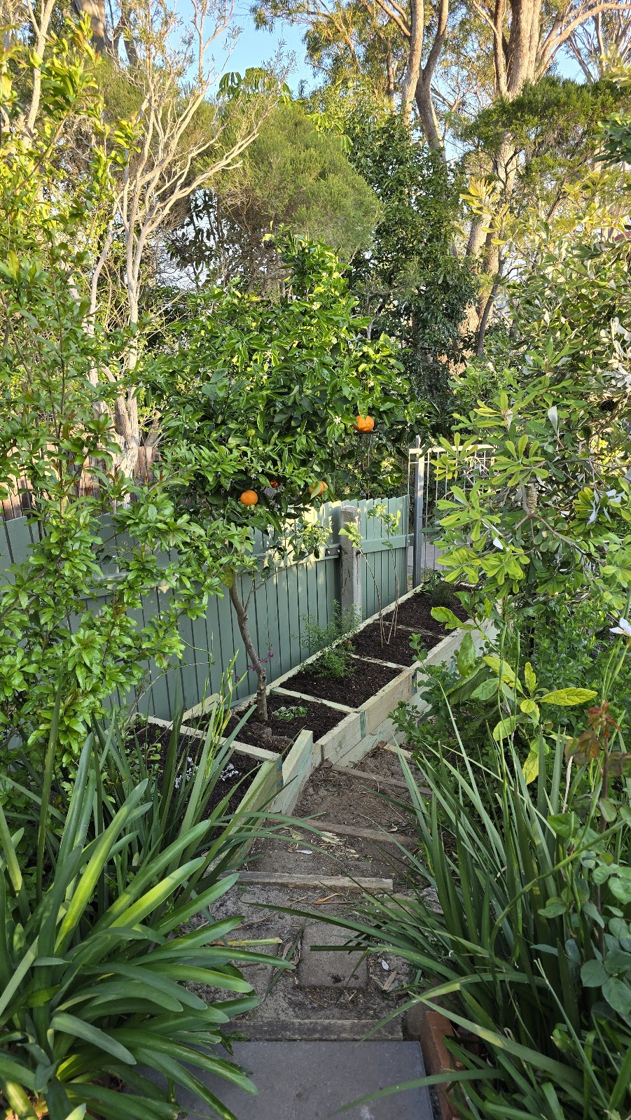 Ks Garden Services | Farmborough Rd, Farmborough Heights NSW 2526, Australia | Phone: 0402 830 775