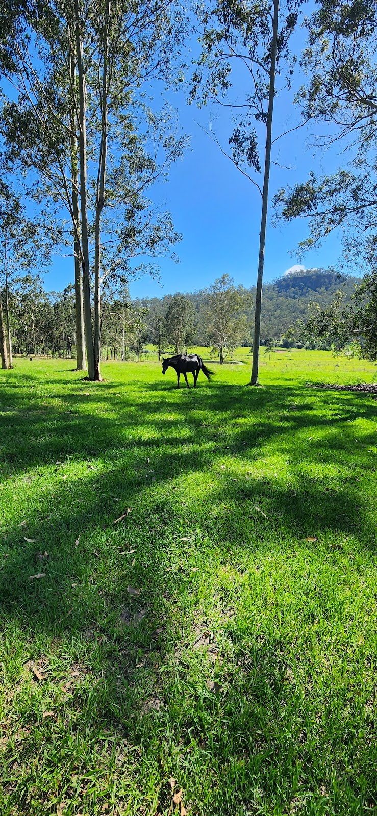 Valenor Equestrian | 231 Ramornie Station Rd, Ramornie NSW 2460, Australia | Phone: 0478 181 789
