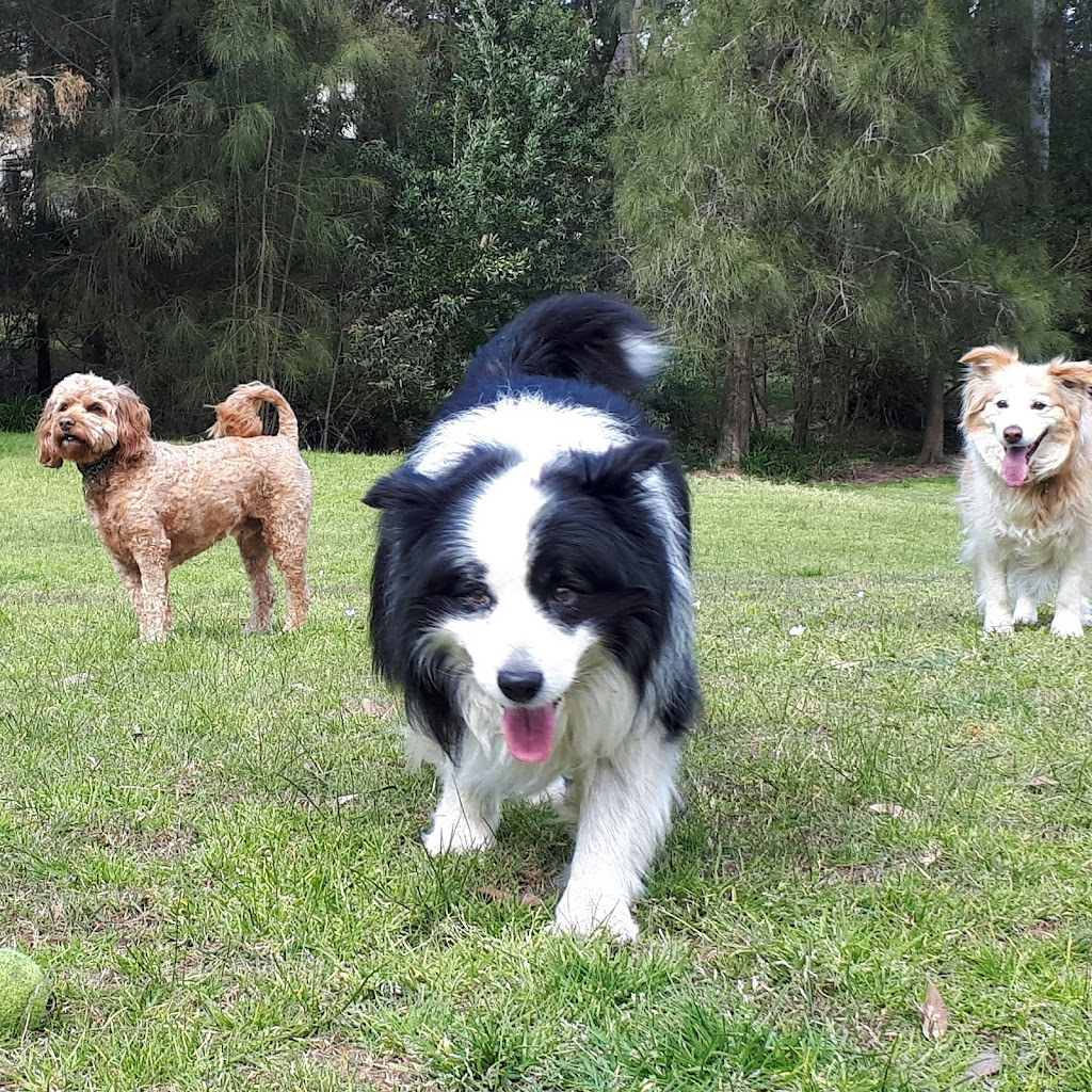 Petpals Dog Walking and Pet Sitting |  | 4 Bronhill Ave, East Ryde NSW 2113, Australia | 0422901748 OR +61 422 901 748