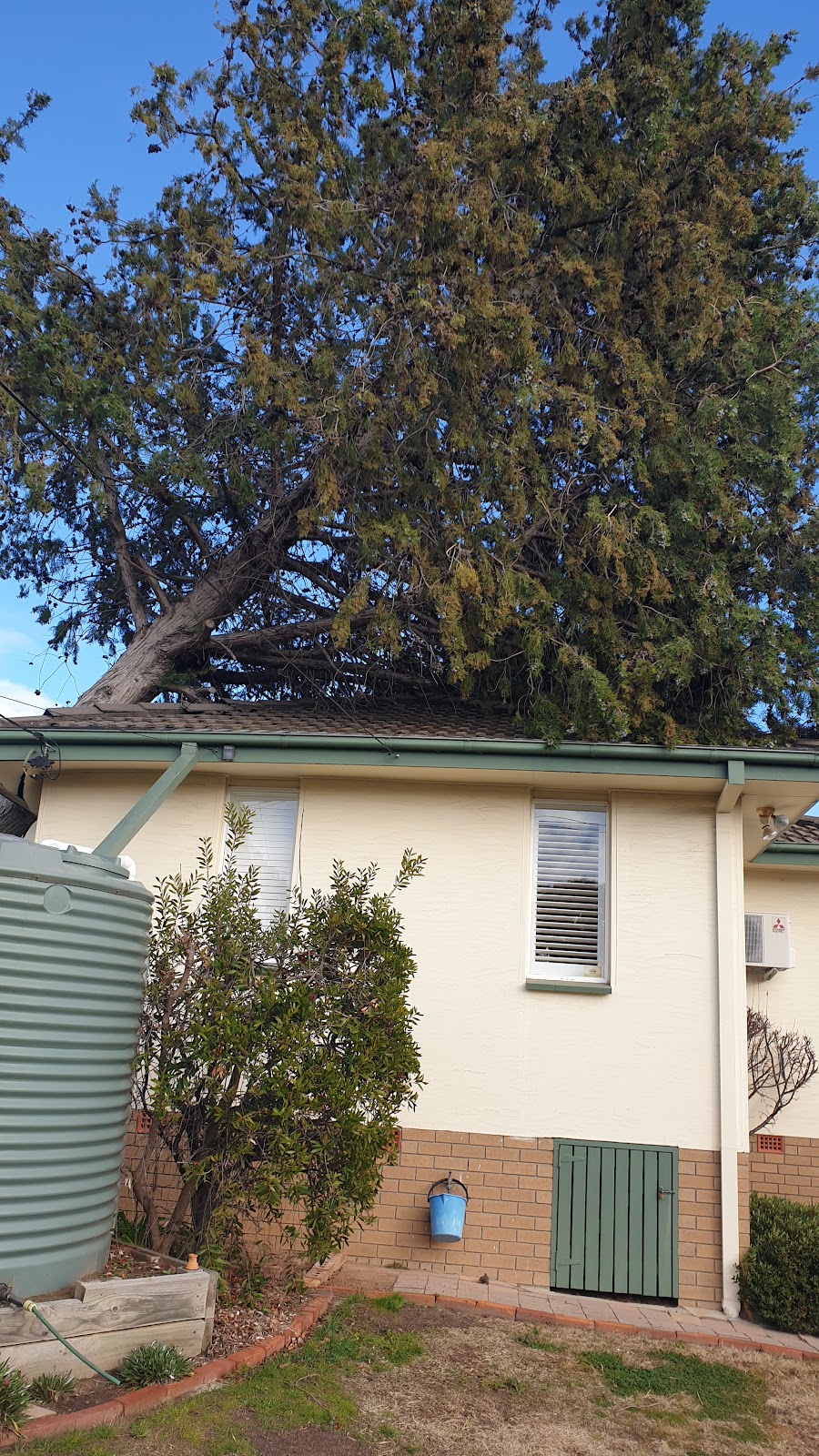 Lances Tree Care | 58 Kinabalu Dr, Tamborine Mountain QLD 4272, Australia | Phone: 0419 181 919