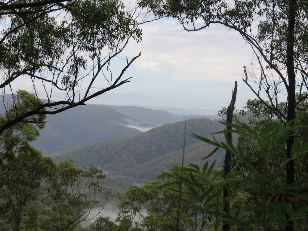 Ellenboroughfalls.online | Reserve, Ellenborough Falls Rd, Elands NSW 2429, Australia | Phone: 0472 666 754