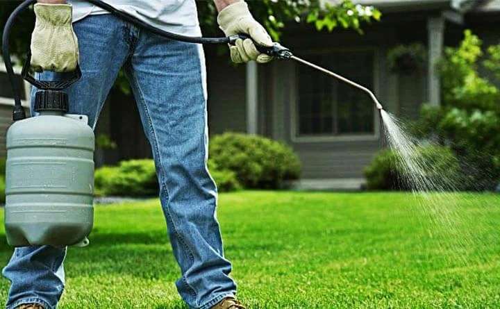 BugBusters pest control | William St, Lismore VIC 3324, Australia | Phone: (03) 8583 9751