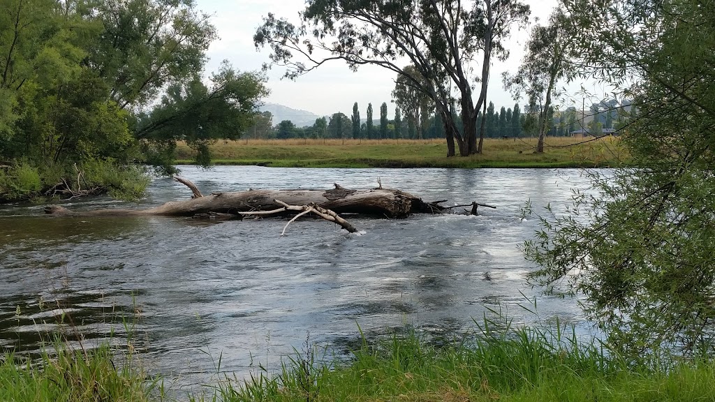 Rotary Pioneer Park | park | Elm Dr, Tumut NSW 2720, Australia