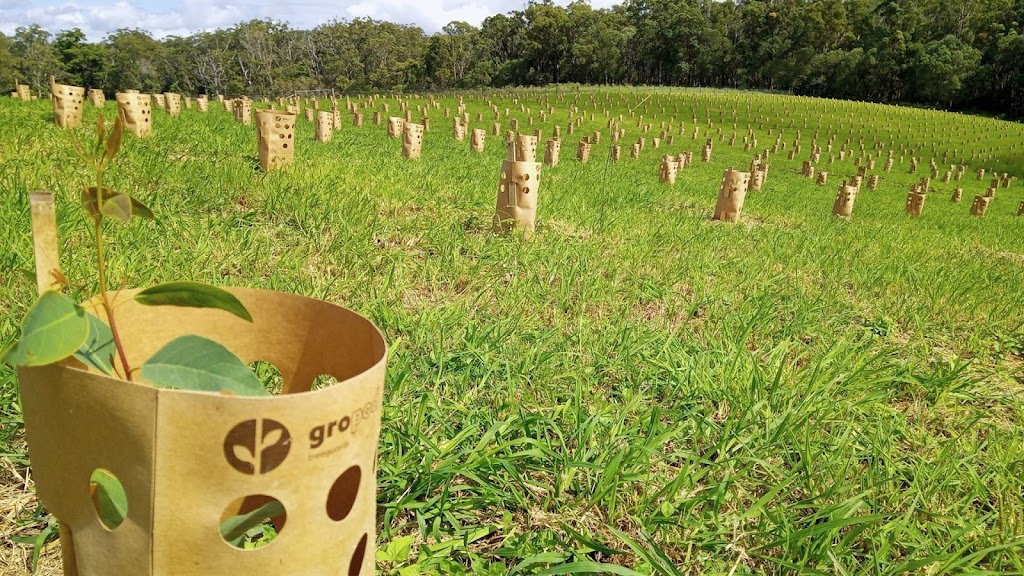 Gropod Tree Guard | 848 Bruxner Hwy, South Gundurimba NSW 2480, Australia | Phone: 0418 439 628
