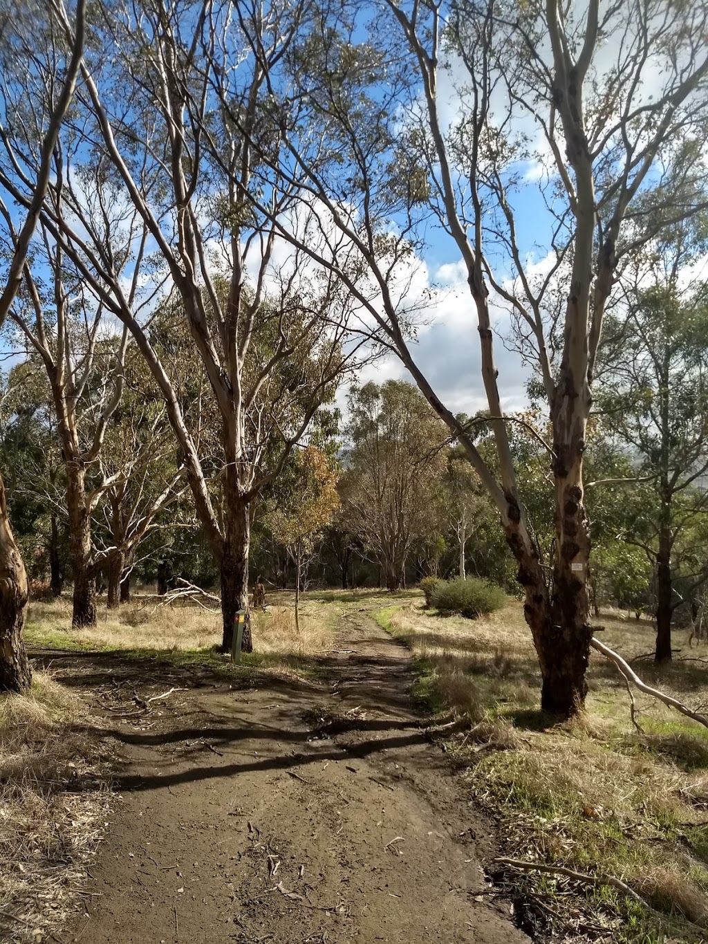 Peter Francis Points Arboretum | Top Hilgay Rd, Coleraine VIC 3315, Australia | Phone: (03) 5554 2304