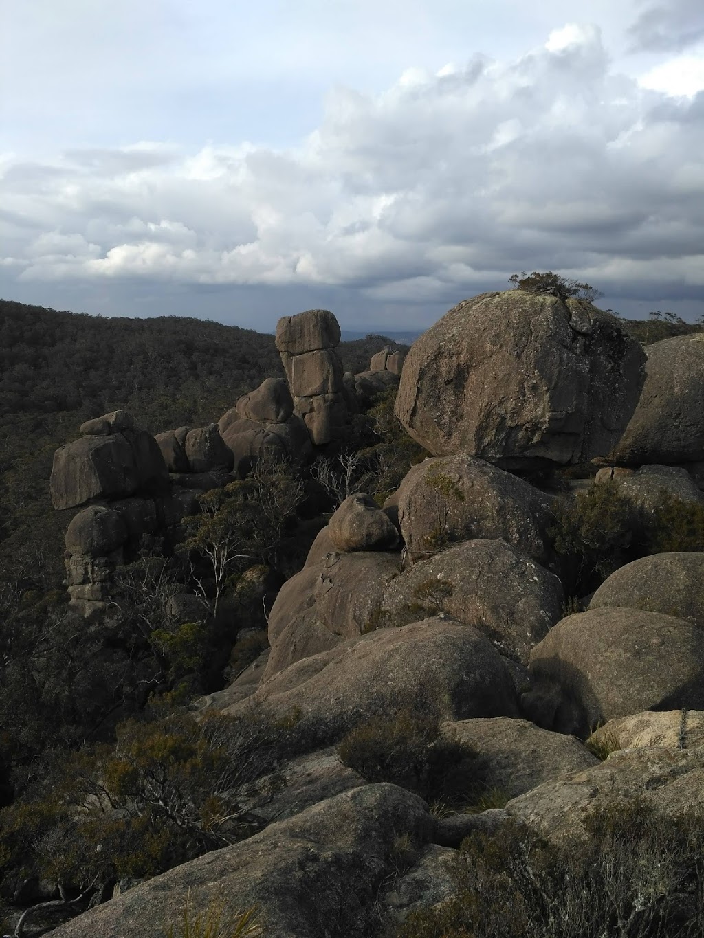 Cathedral Rock National Park | park | Ebor NSW 2453, Australia | 1300072757 OR +61 1300 072 757
