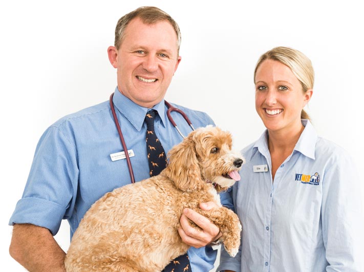 VetMed Northbridge | veterinary care | 148 Sailors Bay Rd, Northbridge NSW 2063, Australia | 0299580177 OR +61 2 9958 0177