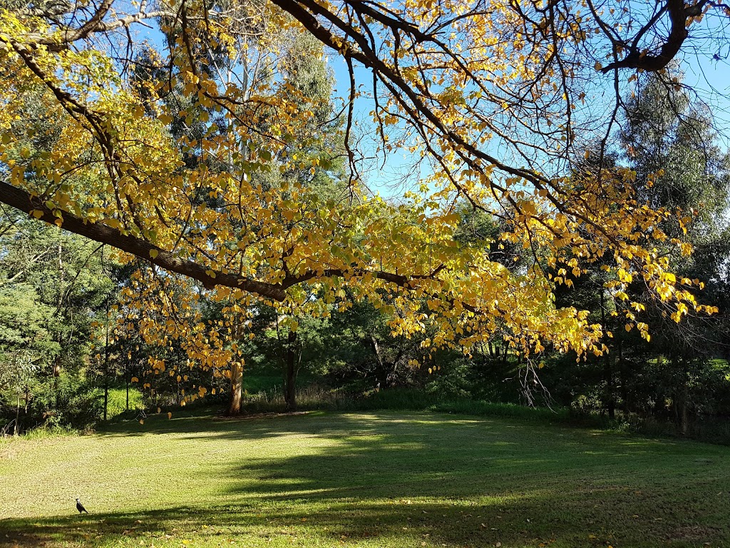 Traralgon parkrun | health | Agnes Brereton Park, Davidson St, Traralgon VIC 3844, Australia