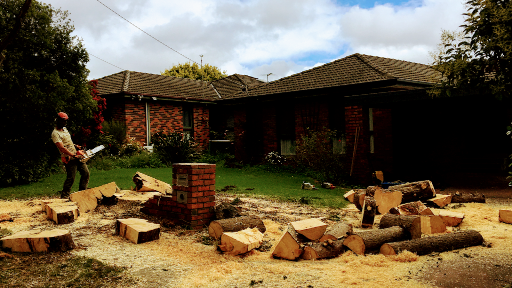 The Tree Removal Service. |  | Launching Place VIC 3139, Australia | 0418721643 OR +61 418 721 643