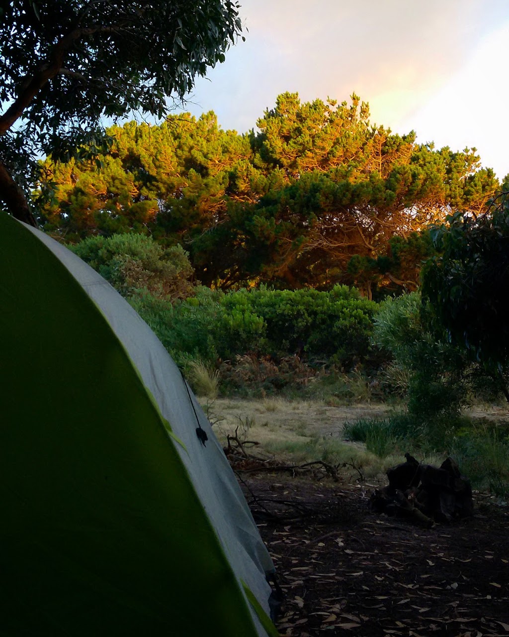 The Pines Campsite | Cloudy Bay Rd, South Bruny TAS 7150, Australia