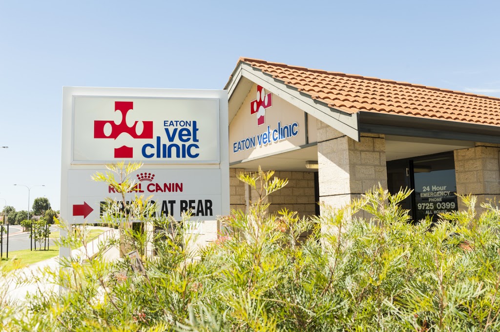 Eaton Vet Clinic | veterinary care | 6 Cassowary Bend, Eaton WA 6232, Australia | 0897250399 OR +61 8 9725 0399