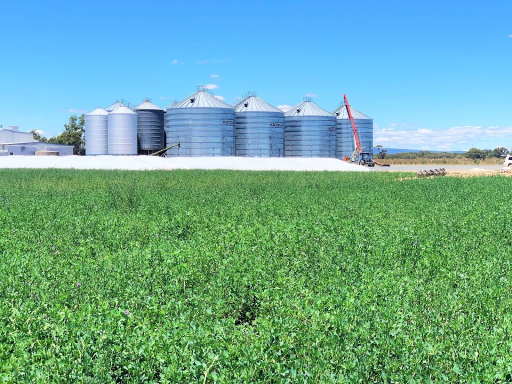 Brahman Commodities | 15 Reapers Rd, Culcairn NSW 2660, Australia | Phone: 0435 855 108