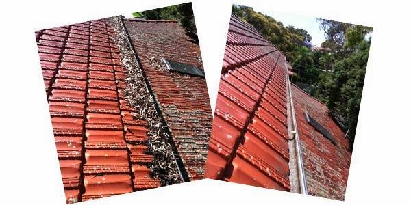 Gutter Cleaning Gold Coast - Flat Rate | 791 Ashmore Rd, Molendinar QLD 4214, Australia | Phone: 0433 536 887