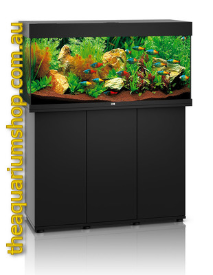 The Aquarium Shop Australia | pet store | Hope Island QLD 4212, Australia | 0755510235 OR +61 7 5551 0235