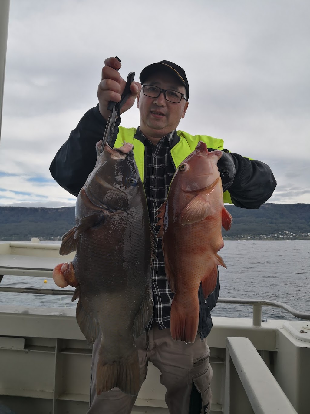 Pro Perch Fishing Charters | Endeavour Dr, Wollongong NSW 2500, Australia | Phone: 0433 918 869