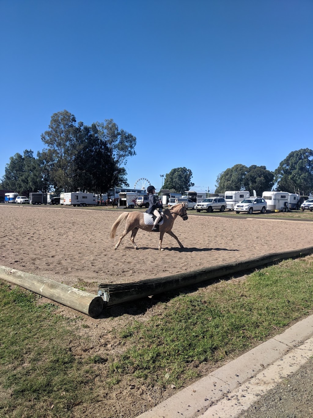 Hawkesbury District Agricultural Association |  | Hawkesbury Showground, Racecourse Rd, Clarendon NSW 2756, Australia | 0245773591 OR +61 2 4577 3591