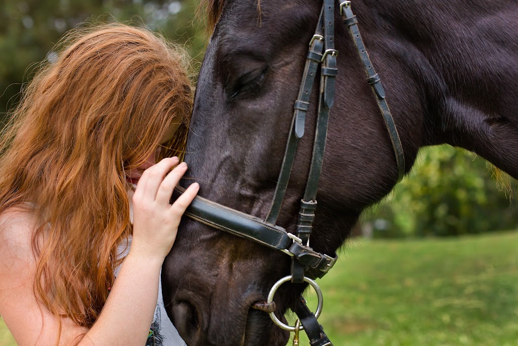 Joanna Kate Photography |  | 7 Findlay St, Ashgrove QLD 4060, Australia | 0421310580 OR +61 421 310 580