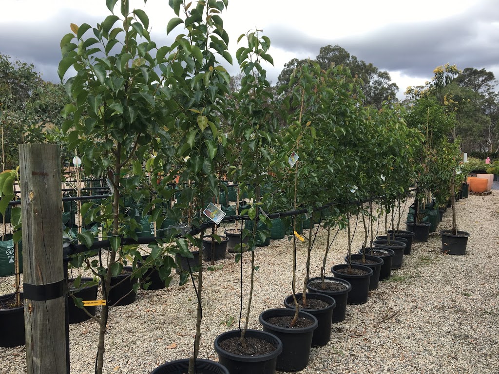 Thirlmere Nursery | Thirlmere NSW 2572, Australia | Phone: 0406 634 316