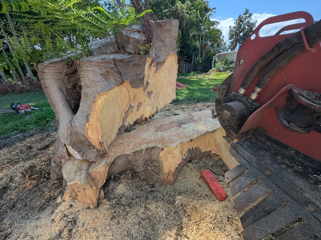 Stump Grinding by Nodez | 19 Edgar St, Bulahdelah NSW 2423, Australia | Phone: 0417 761 492