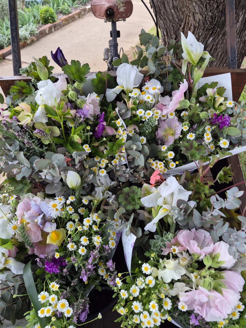 Dragonfly Designs flower cart & plant stall | 64 Mayne St, Gulgong NSW 2852, Australia | Phone: 0401 381 918