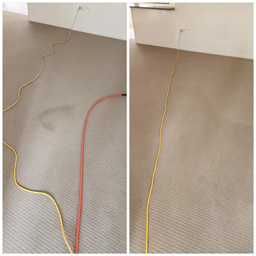 Protection plus+ Couch & carpet deep cleaning | 112 James St, Templestowe VIC 3106, Australia | Phone: (03) 7057 1892