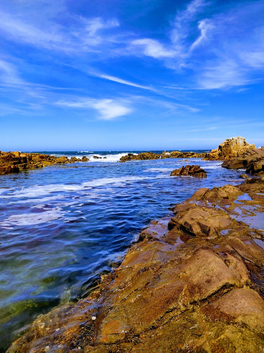 Crowdy Bay National Park | Beach Trail, Crowdy Bay National Park NSW 2443, Australia | Phone: (02) 6588 5555