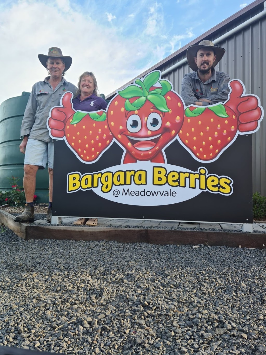 Bargara Berries @ Meadowvale | food | 104 Hoods Rd, Meadowvale QLD 4670, Australia | 0438599520 OR +61 438 599 520