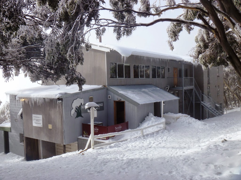 Sugarbush Lodge and Apartments | 10 Delatite Ln, Mount Buller VIC 3723, Australia | Phone: (03) 5777 6500