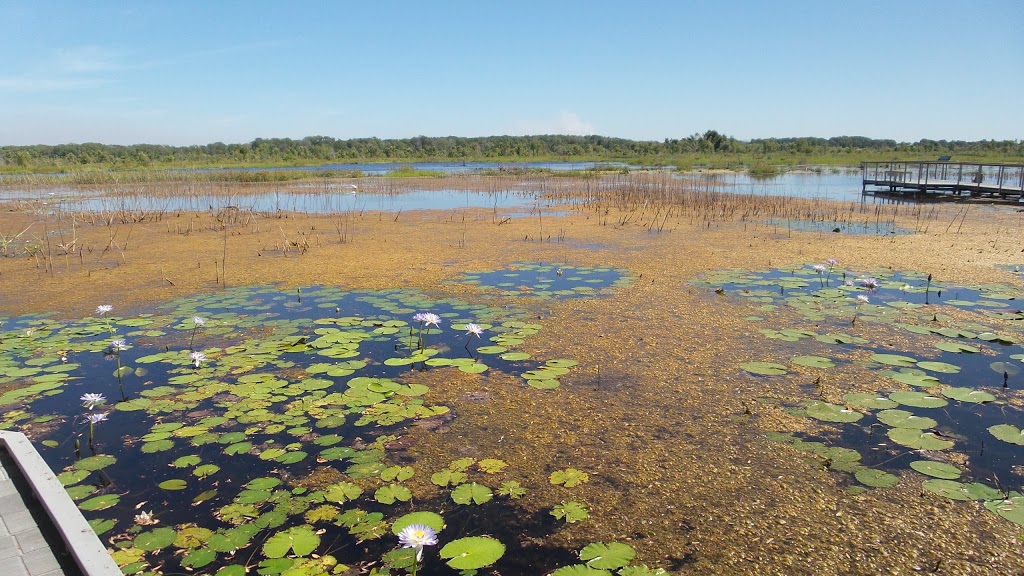 Black Jungle / Lambells Lagoon Conservation Reserve | Black Jungle NT 0822, Australia