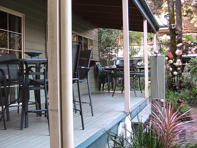 The Dolph Inn at Moreton Island | 78 Moreton St, Bulwer QLD 4025, Australia | Phone: (07) 3897 5000