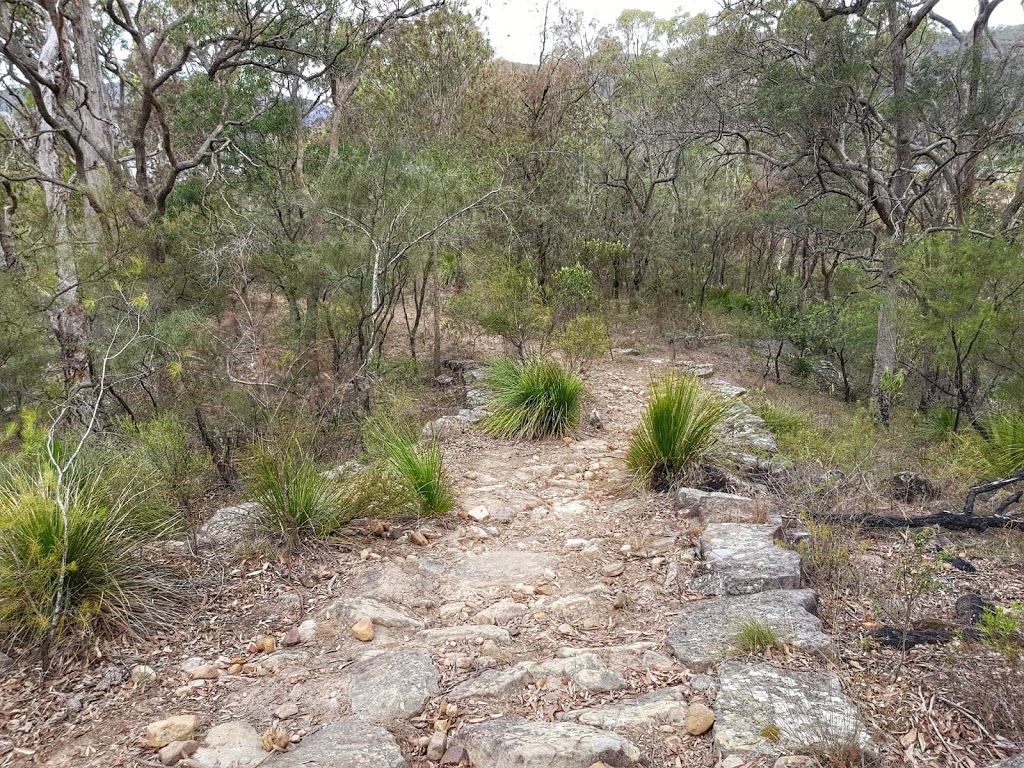 Finches Line Trail Head | park | Finches Line Walking Track, Lower MacDonald NSW 2775, Australia