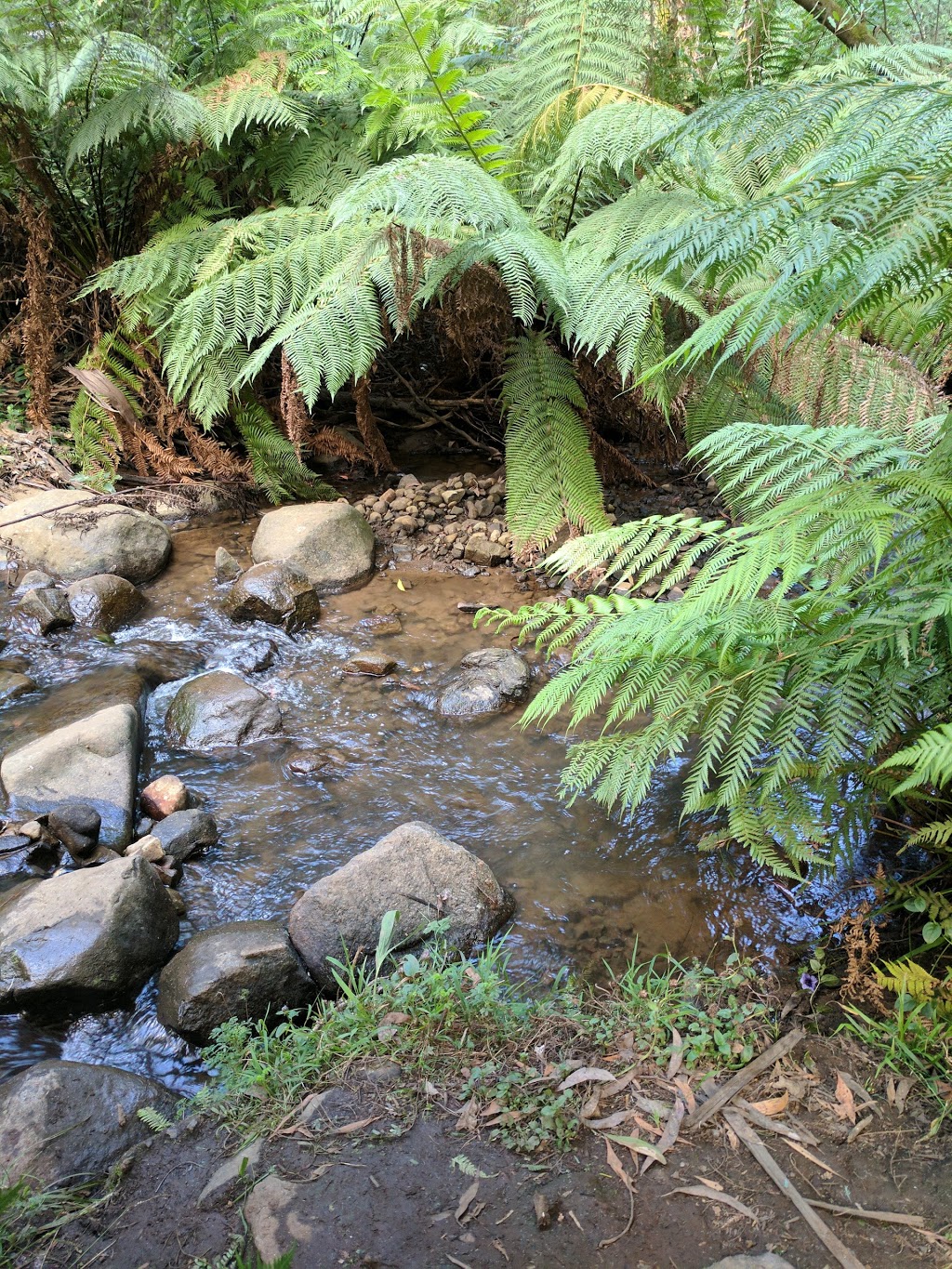 Beagleys Picnic Ground | park | 37C Perrins Creek Rd, Kallista VIC 3791, Australia