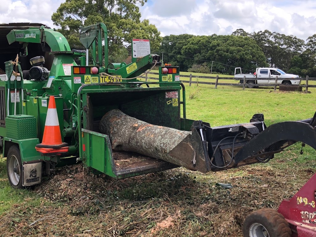 Hart Tree Services | 17 Golden Penda Pl, Mullumbimby NSW 2482, Australia | Phone: 0427 347 380