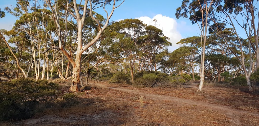 Christmas Rock Walk | zoo | Wongan Hills WA 6603, Australia