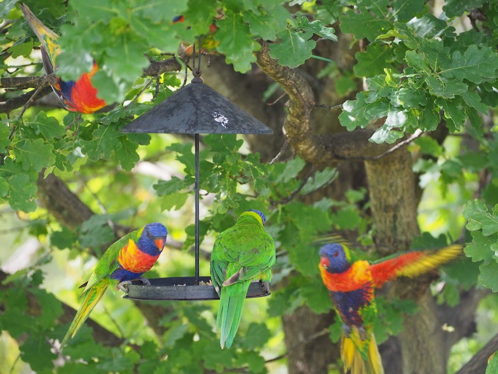 The Folly Offgrid Accommodation | 19 Kleinitz Rd, Nungurner VIC 3909, Australia | Phone: 0413 164 324