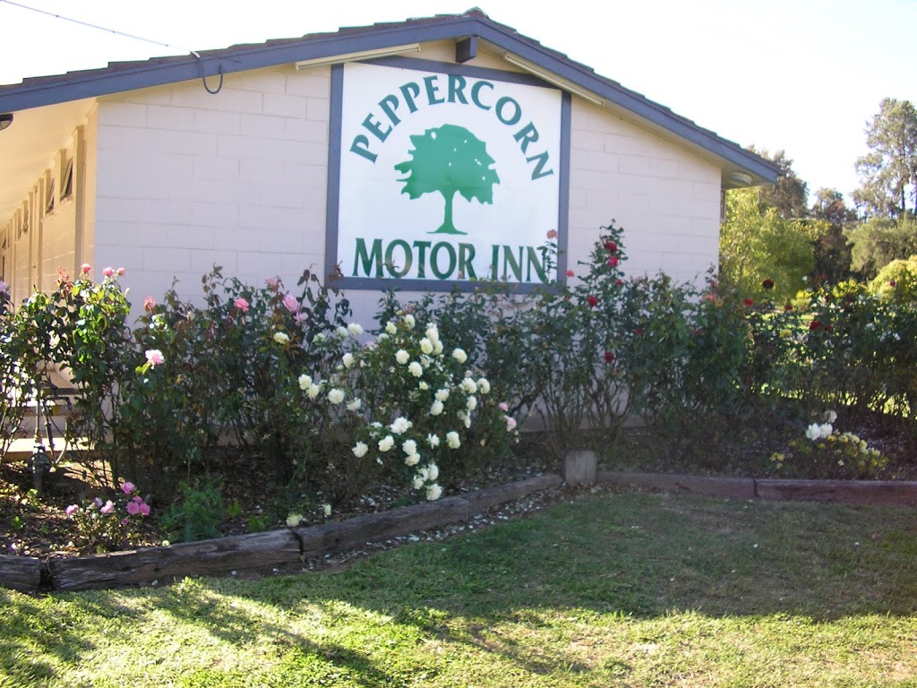 Peppercorn Motor Inn accommodation in Narromine | lodging | 18 Trangie Rd, Narromine NSW 2821, Australia | 0268891399 OR +61 2 6889 1399