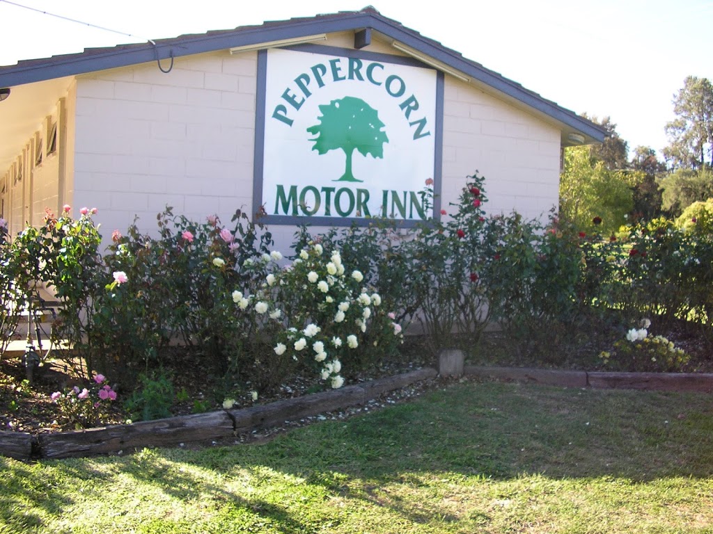 Peppercorn Motor Inn accommodation in Narromine | 18 Trangie Rd, Narromine NSW 2821, Australia | Phone: (02) 6889 1399