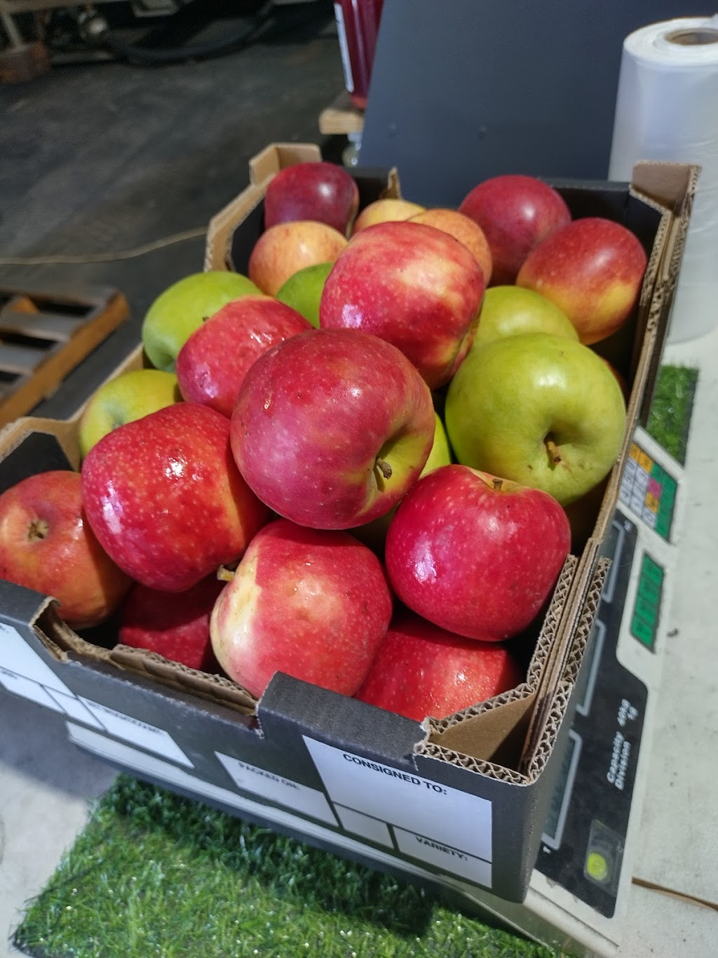 Cocos Orchard | 25742 New England Hwy, Applethorpe QLD 4378, Australia | Phone: 0438 812 078