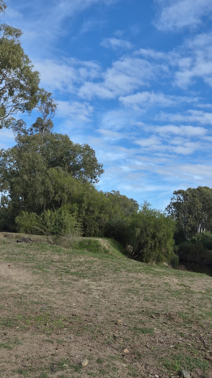 BOOTHILL BEACH | C9H6+P5, Gravesend NSW 2401, Australia | Phone: 0487 591 802