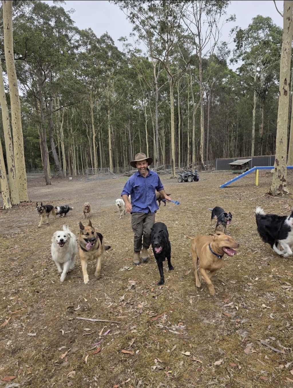 20 lucky dogs | Woods Rd, Jilliby NSW 2259, Australia | Phone: 0432 913 733