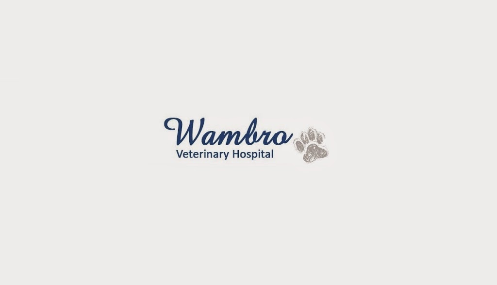 Warnbro Veterinary Hospital | 655 Safety Bay Rd, Warnbro WA 6169, Australia | Phone: (08) 9593 1797