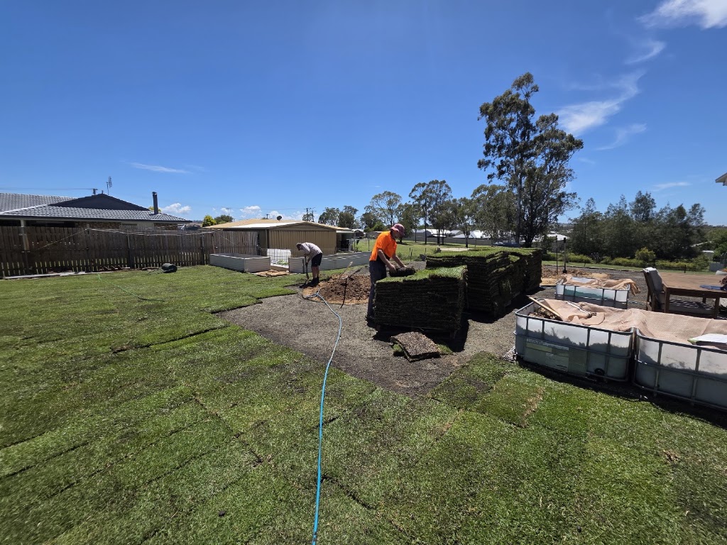 Glengallan Turf | 1122 Willowvale Rd, Massie QLD 4370, Australia | Phone: 0437 015 663