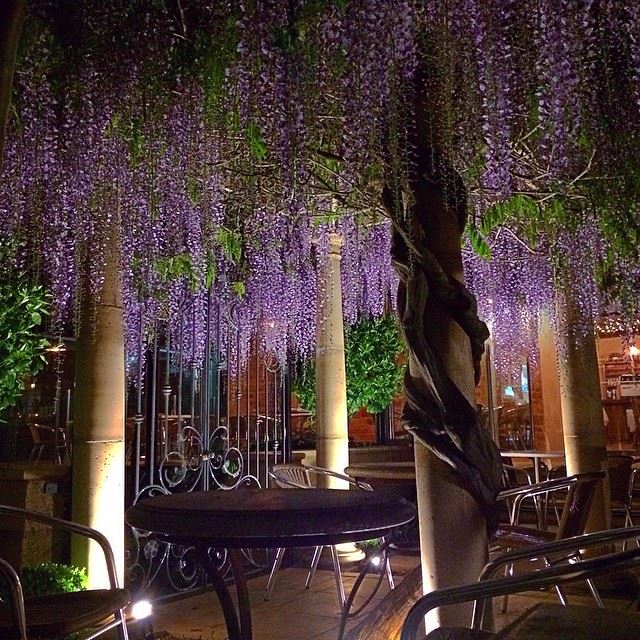 Topiary | restaurant | 1361 North East Road, Tea Tree Gully SA 5091, Australia | 0882630818 OR +61 8 8263 0818