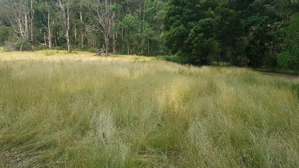 Brendons corner | park | Neuman Track, Kallista VIC 3791, Australia